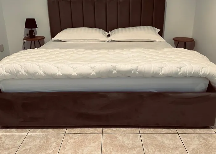 Проживание в семье Hi5 Тирана