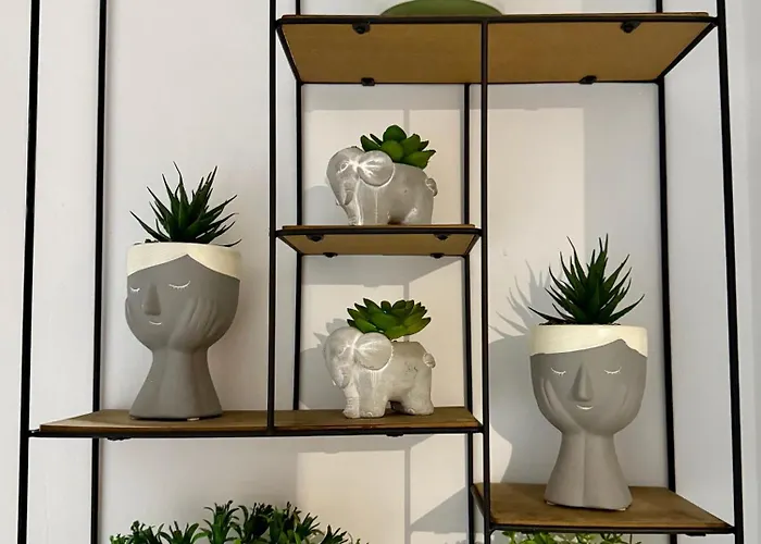 Hi5 Проживание в семье Тирана